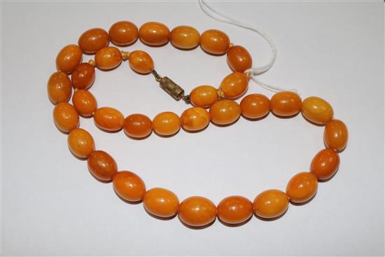 A single strand graduated oval amber bead necklace, gross 31 grams, 44cm.